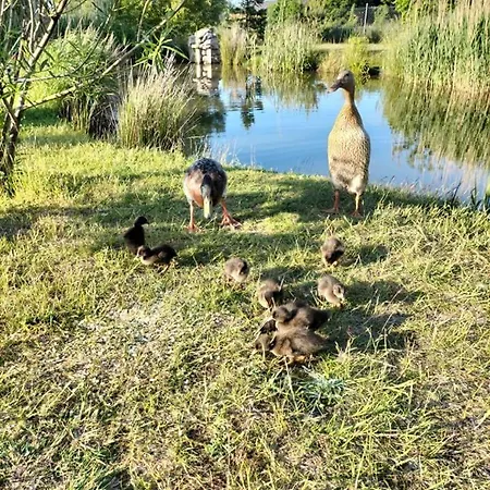 Dom wakacyjny Chatki U Atki *