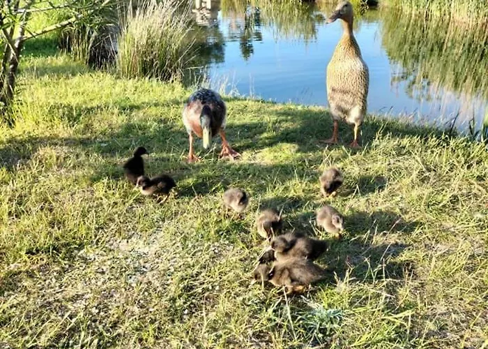בית נופש Chatki U Atki *