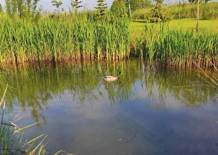 Chatki U Atki בית נופש *